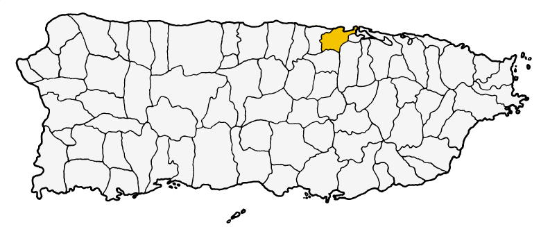 Historia Municipio Autonomo De Toa Baja