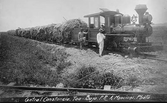 Fotografía histórica de una locomotora y vagones de caña en Central Constancia, Toa Baja